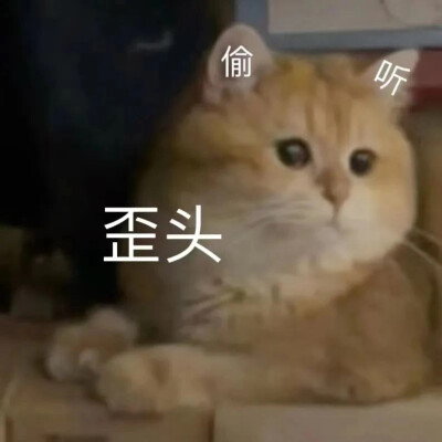 搞笑表情包