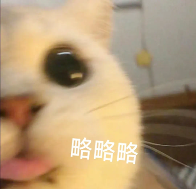 搞笑表情包