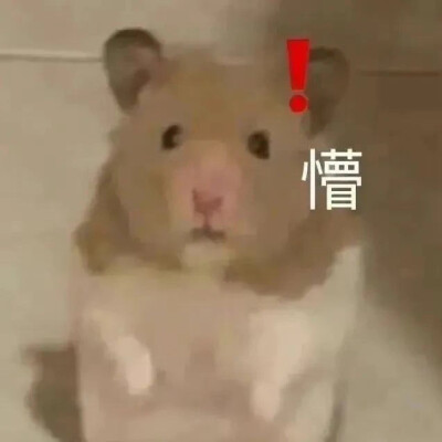 搞笑表情包