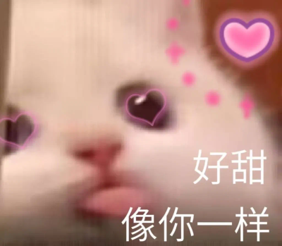 搞笑表情包