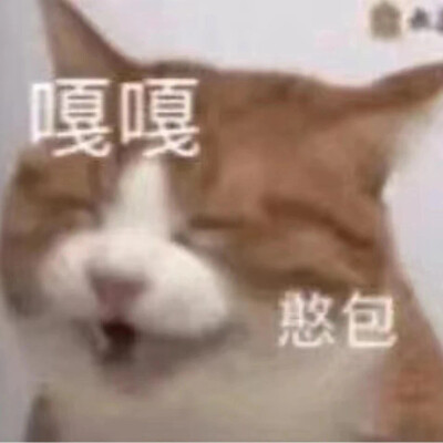 搞笑表情包