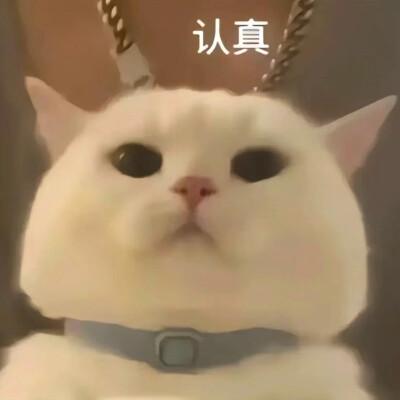 搞笑表情包