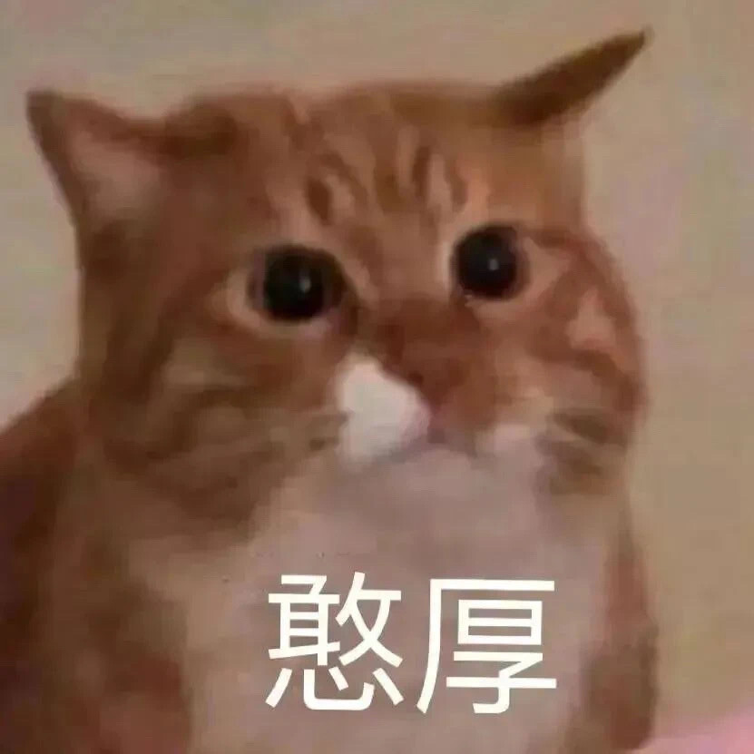 搞笑表情包