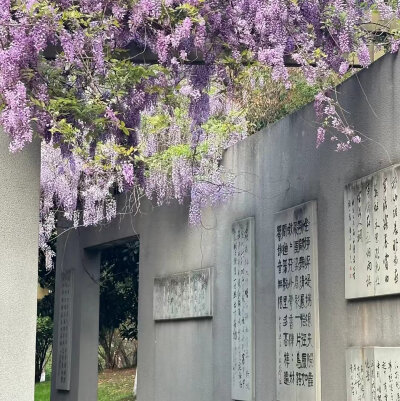 背景图