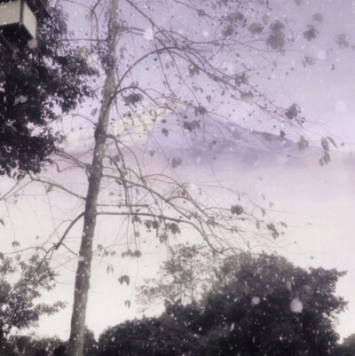 微调可二改
标°xyan_k