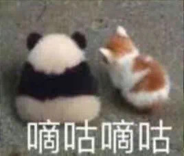 搞笑表情包