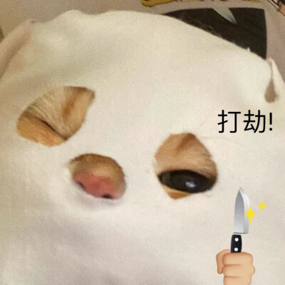 搞笑表情包