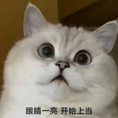 搞笑表情包