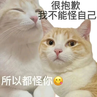 搞笑表情包