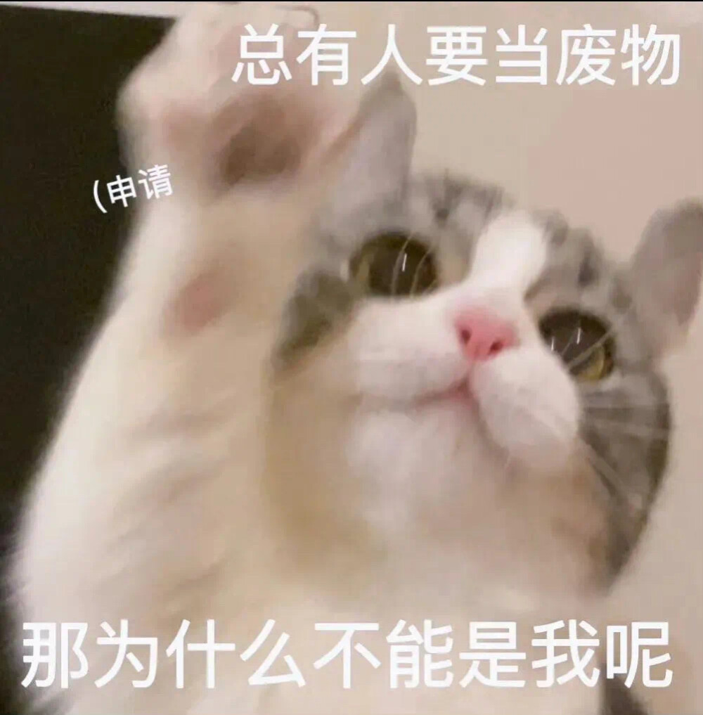搞笑表情包