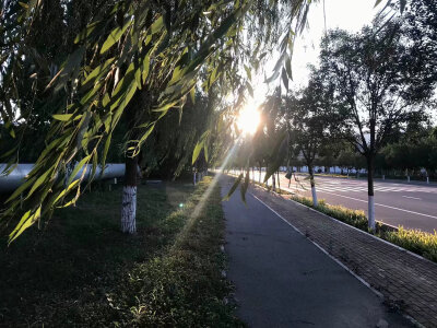 背景图