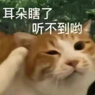 搞笑表情包