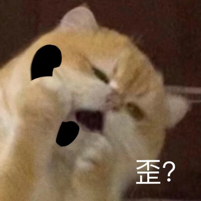 搞笑表情包