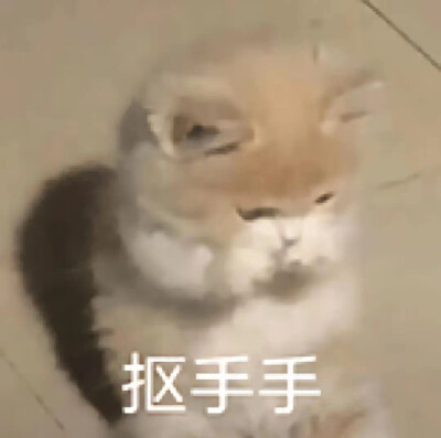 搞笑表情包