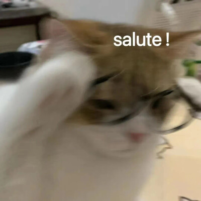 搞笑表情包