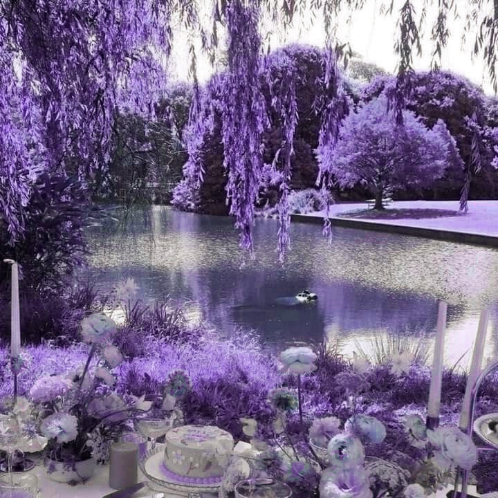 微调可二改
标°_Strawbabbie