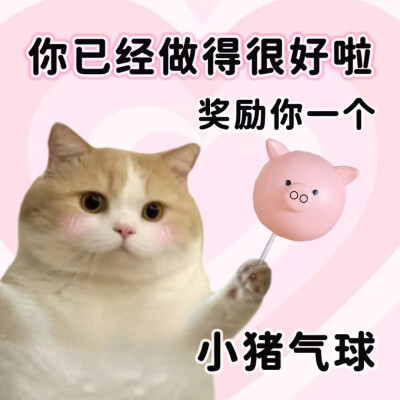 搞笑表情包