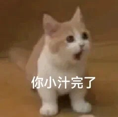 搞笑表情包