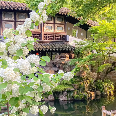 背景图