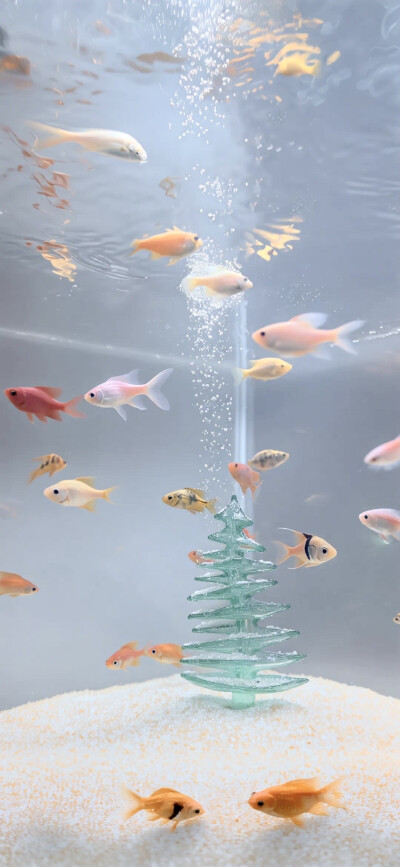 壁纸