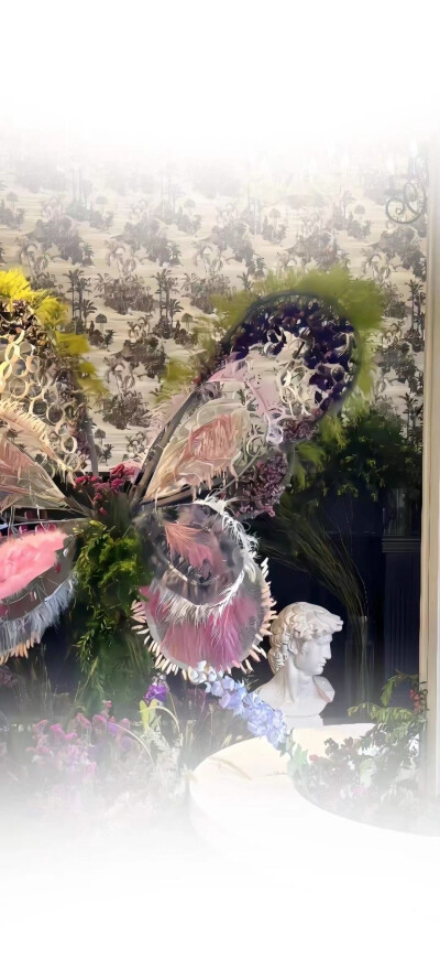 好看的壁纸图源于网络