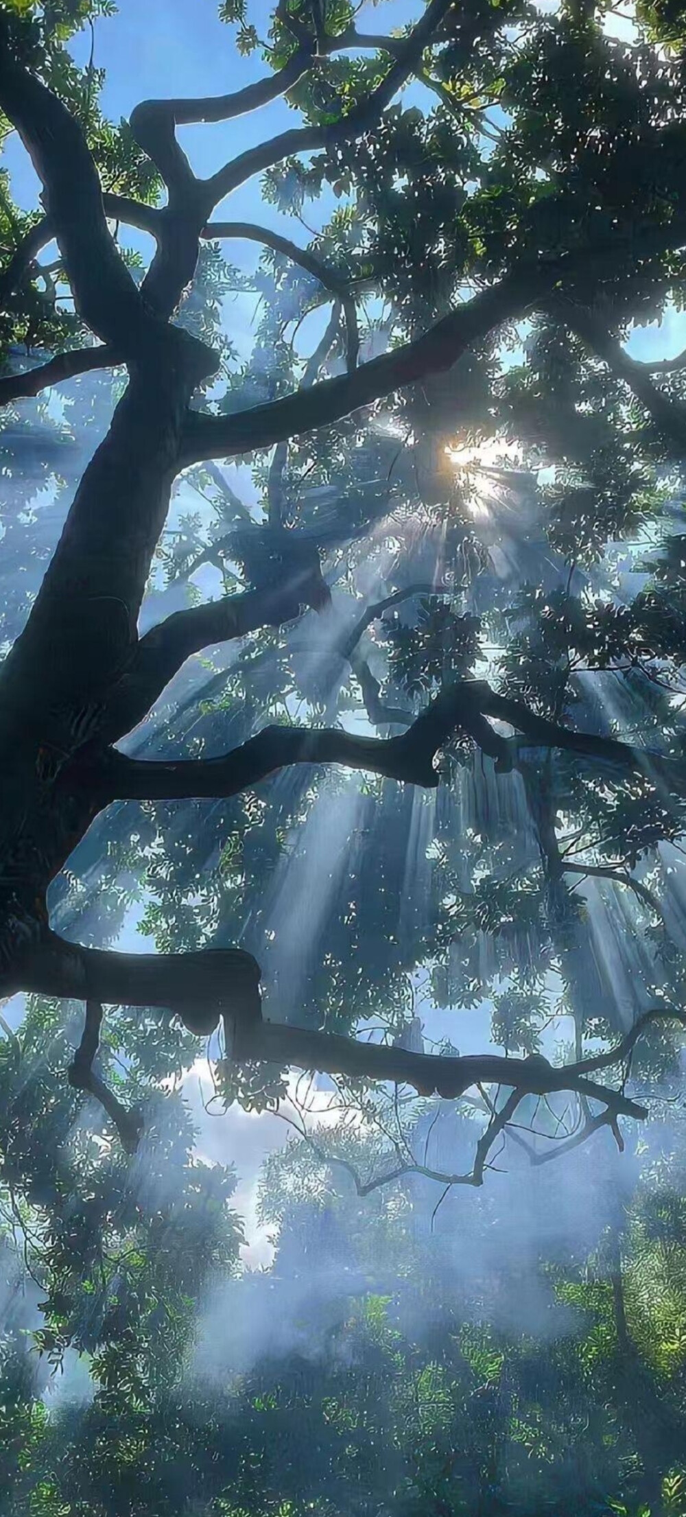 森林风全屏壁纸