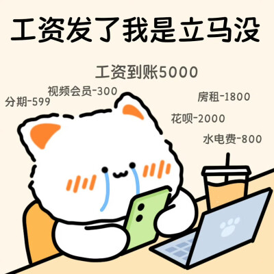 无事小猫
