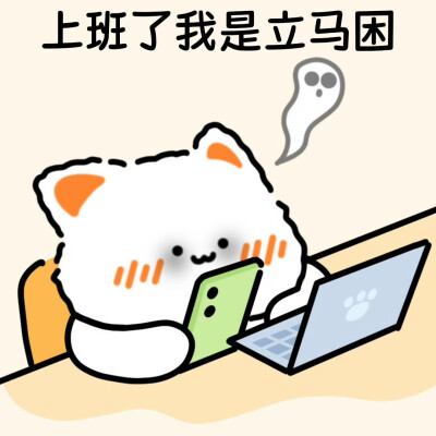 无事小猫