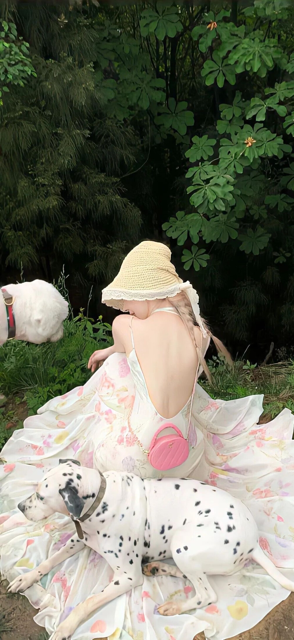 壁纸