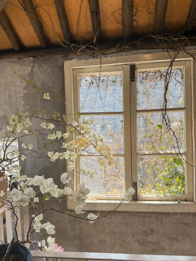 好看的壁纸图源于网络