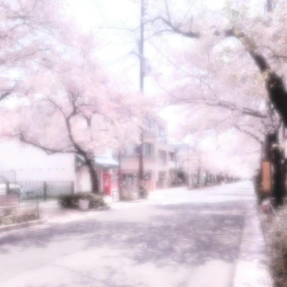 宁艺卓