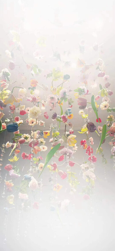 好看的壁纸图源于网络