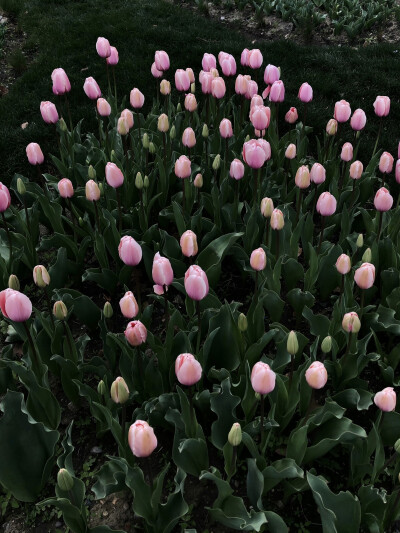 好看的壁纸图源于网络