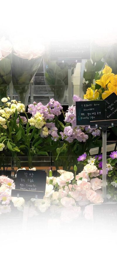 好看的壁纸图源于网络