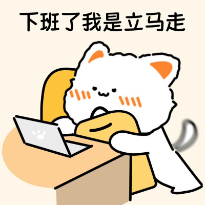 无事小猫