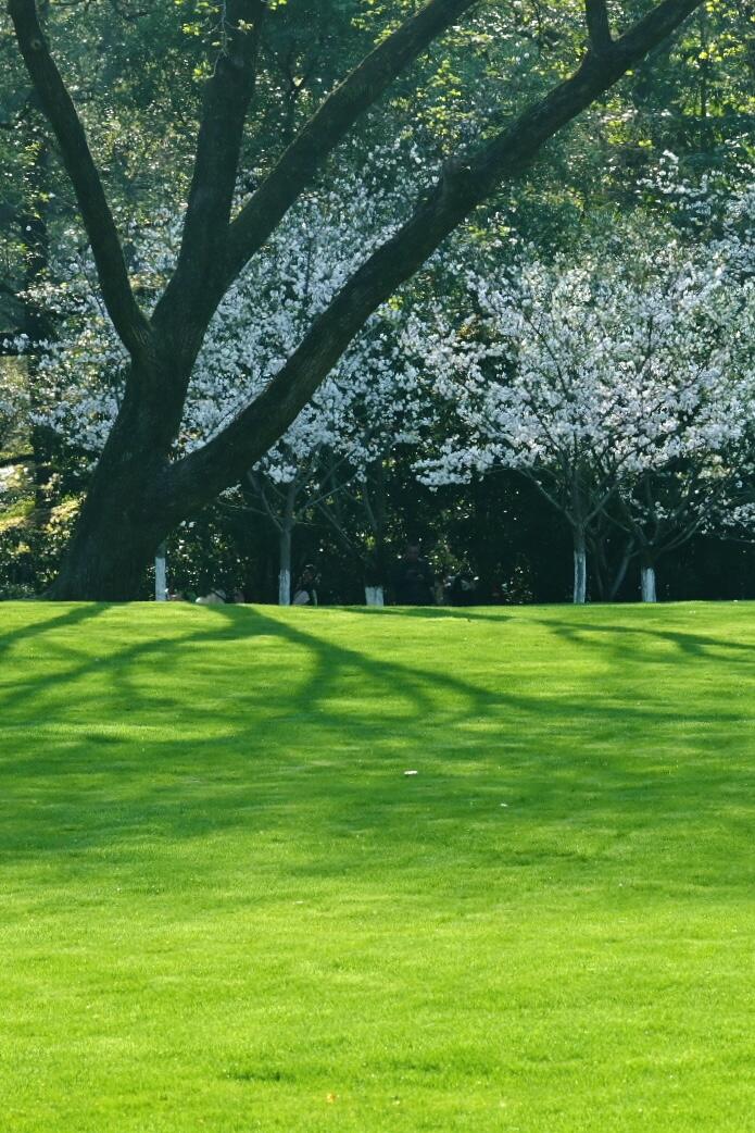 春天