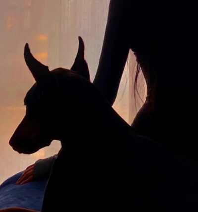 两个风格却是一个心境