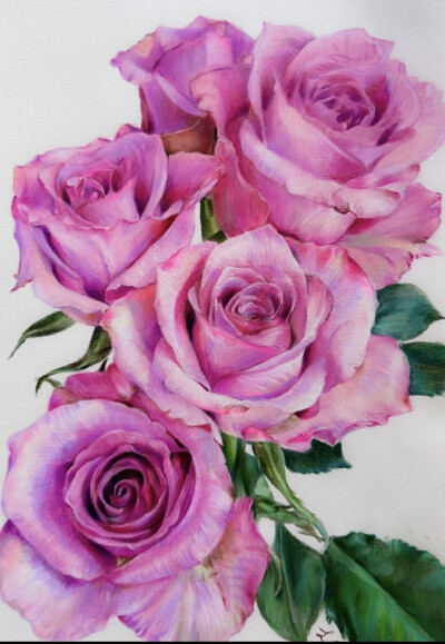 彩铅花
