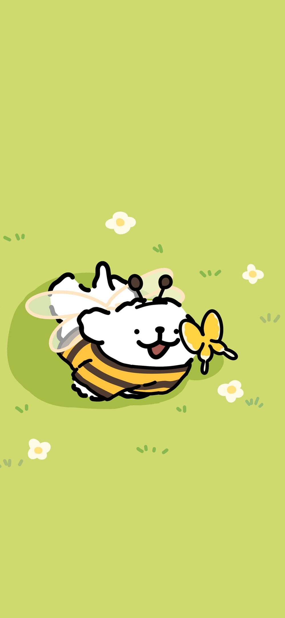 壁纸