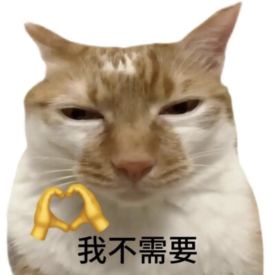 表情包