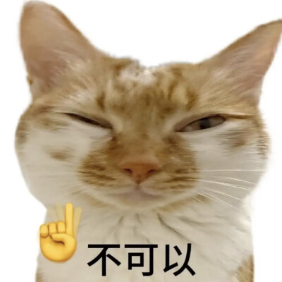 表情包