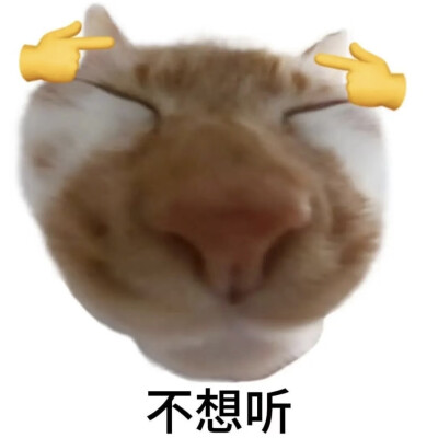 表情包