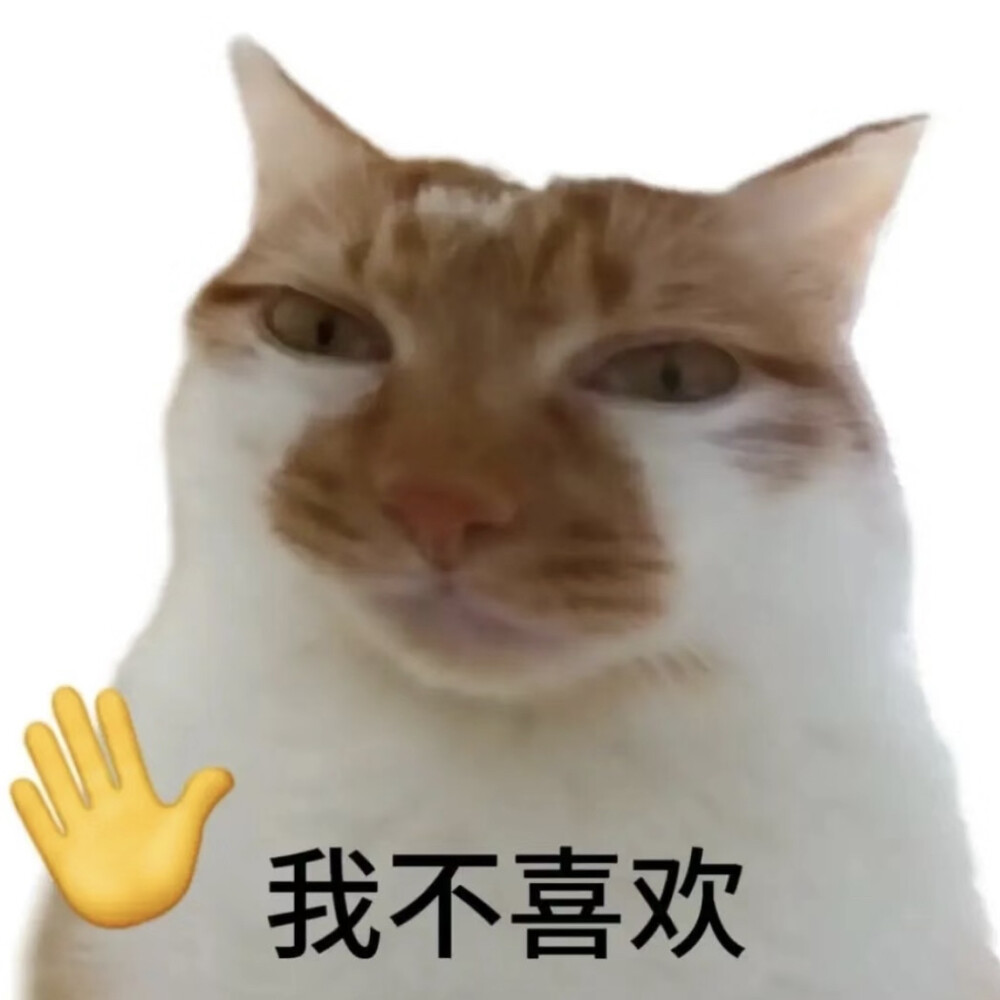 表情包