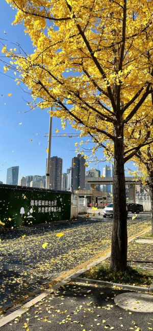 手机风景壁纸