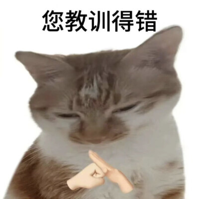 表情包