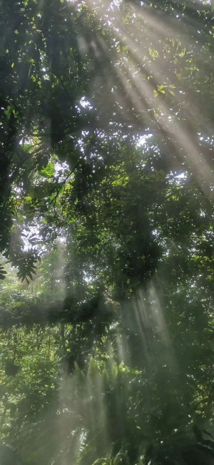 手机风景壁纸