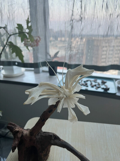 骨头