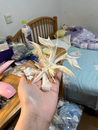 骨头