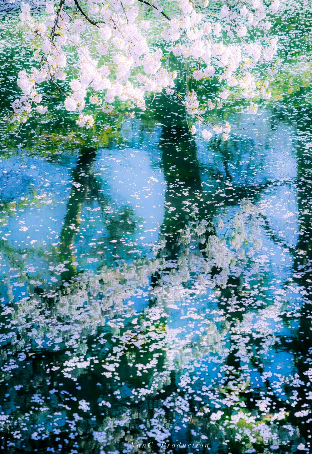 春日倒影