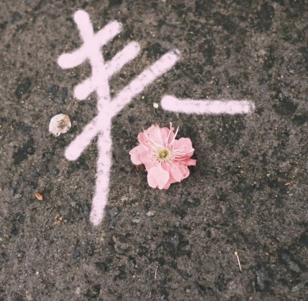 背景图